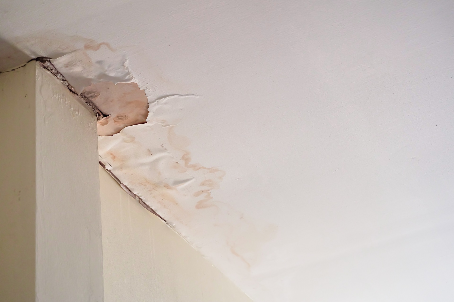 Water damaged ceiling caused by dampness