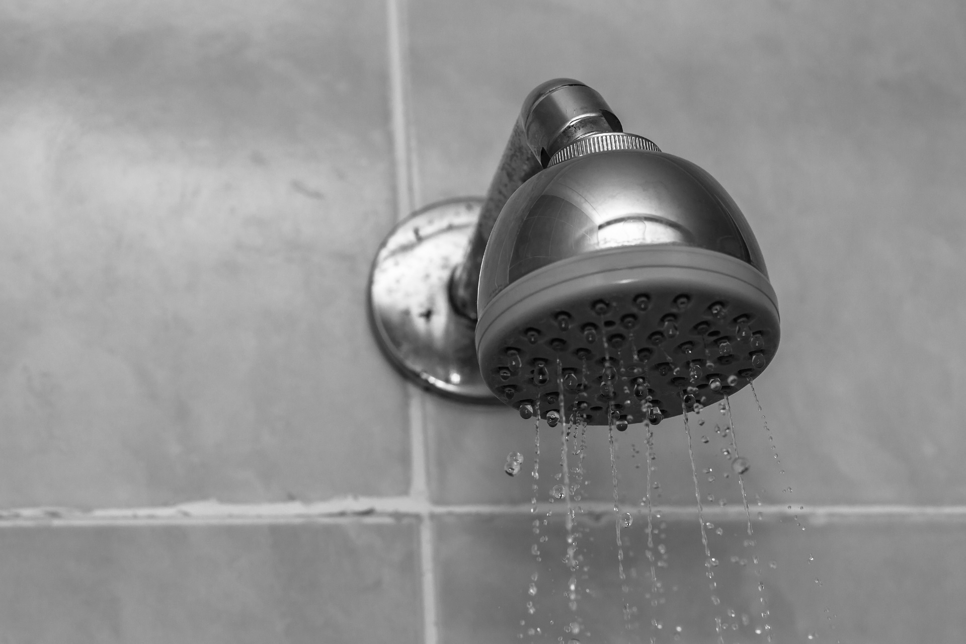 A closeup grayscale shot of a showerhead with water dripping down
