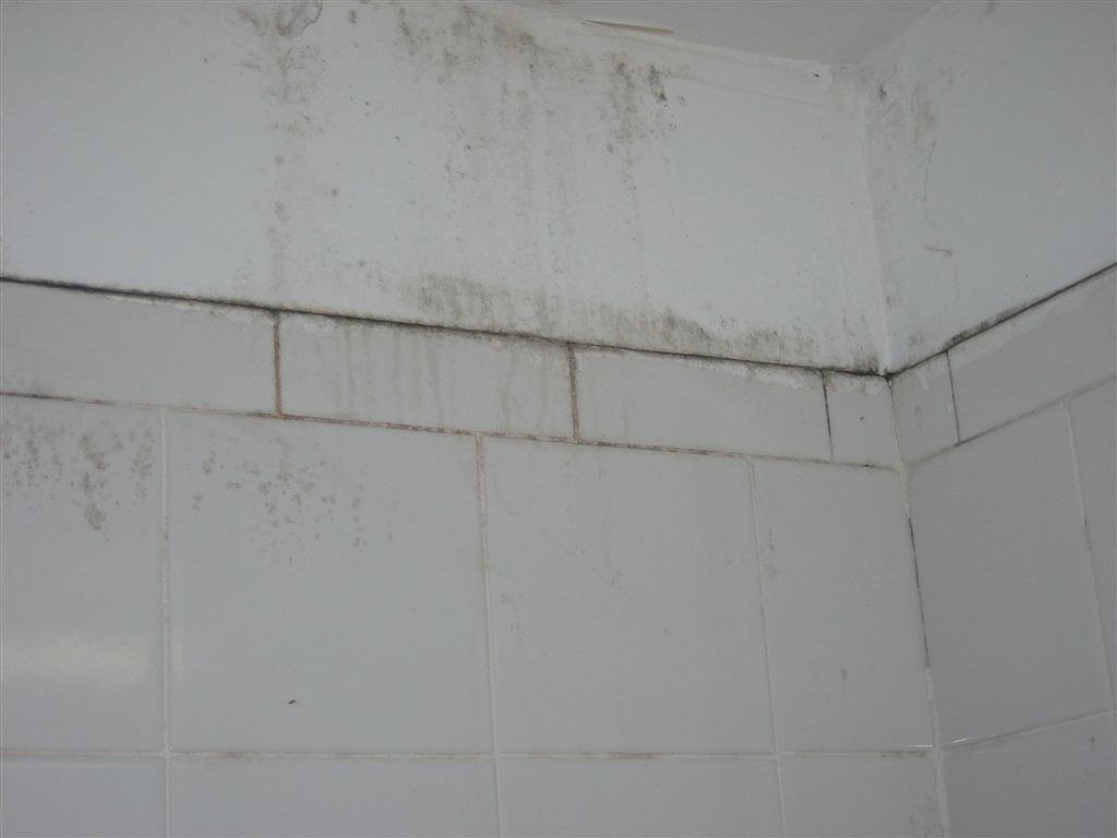 Build-up of mould and mildew in a bathroom